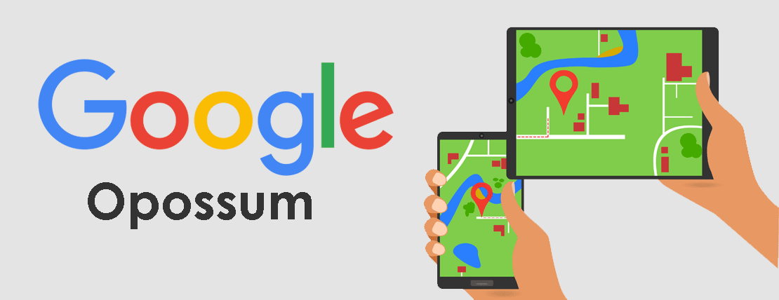 Google opossum référencement local